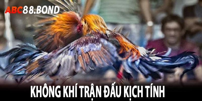 Không khí trận đấu kịch tính 